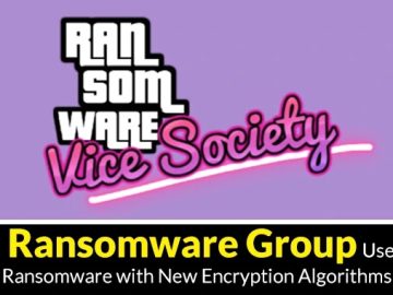 Vice Ransomware Group