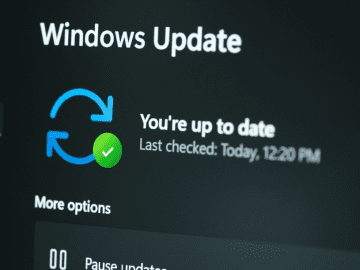 Microsoft Patch Tuesday, January 2023 Edition – Krebs on Security