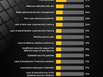 Cyber insurance can offset the risks of potential breaches