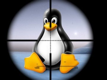 This exploit code allows to hack into Linux servers(5.5 up to 6.2) easily