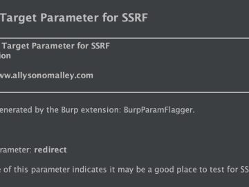 Identifying Possible SSRF/LFI Insertion Points – allysonomalley.com