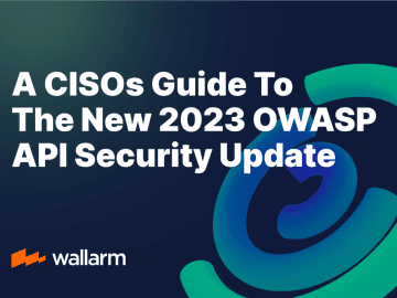 Insights into the New OWASP API Security Top-10 for CISOs