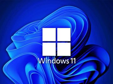 Windows 11