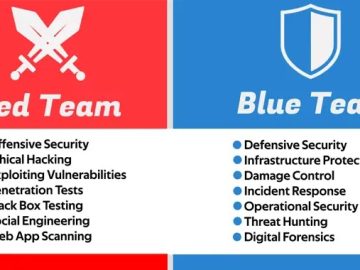 Red Team vs Blue Team : How Does it Works?