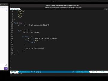 Basic concurrency in Go (Twitch Stream)