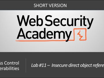 Broken Access Control - Lab #11 Insecure direct object references | Short Version