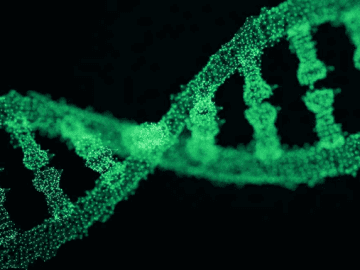 DNA Sequencing Instruments