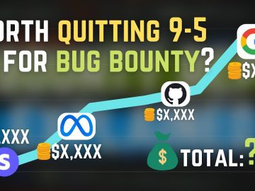 How much money I made in my 1st year of bug bounty? Bounty vlog #4