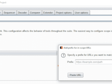 Figure 1: Adding target URLs to scope in Burp Suite