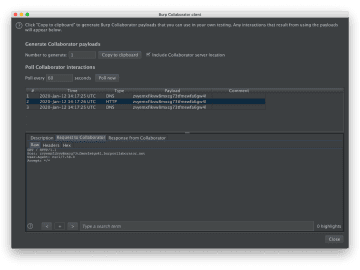 Burp Collaborator