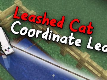 Revisiting 2b2t Tamed Animal Coordinate Exploit