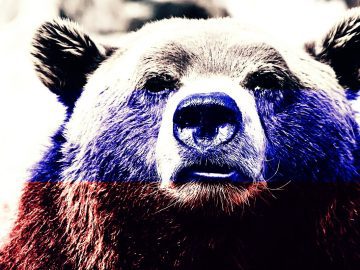 Russian bear