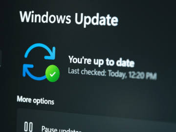 Microsoft Patch Tuesday, May 2023 Edition – Krebs on Security
