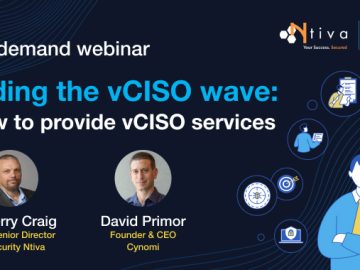 vCISO Services