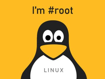 Linux Kernel Vulnerability