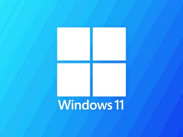 Windows 11