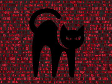 BlackCat Ransomware