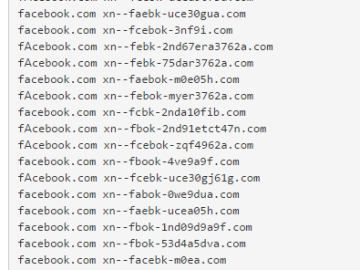 Punicoder – discover domains that are phishing you – honoki