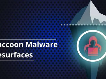 Raccoon Malware Resurfaces in Dark Web with New Stealing Capabilities