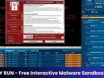 Interactive Malware Sandbox