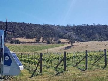 Treasury Wine Estates' predictive AI and self-driving vehicles pay off