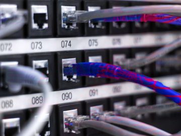 Network cables plugged into a switch