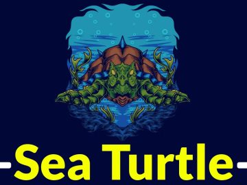 Sea Turtle APT Group Exploiting Vulnerabilities Attack IT-service