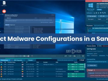 How to Extract Malware Configurations in a Sandbox