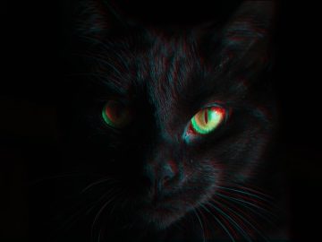 BlackCat ransomware exit scams and blames the feds