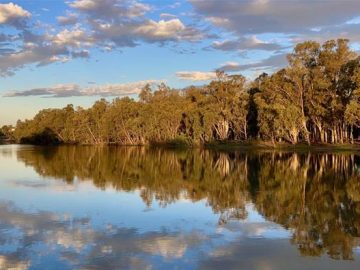 Murray-Darling Basin Authority hunts for new CIO