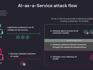 AI-as-a-Service Providers