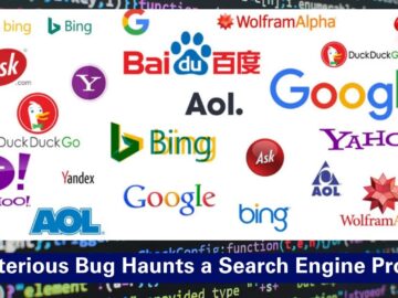 Mysterious Index Bug Haunts a Tech Company’s Search Engine Project