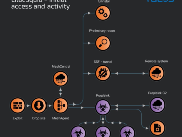 LilacSquid APT targeted orgs in the U.S., Europe, and Asia