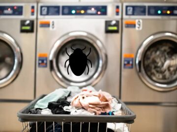 Students Uncover Security Bug That Could Let Millions Do Their Laundry For Free