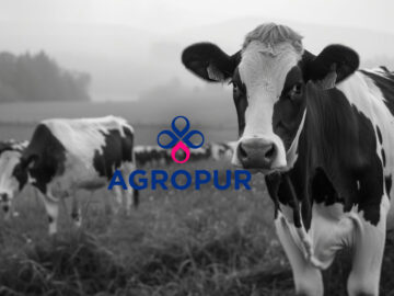 Dairy giant Agropur says data breach exposed customer info Dairy giant Agropur says data breach exposed customer info