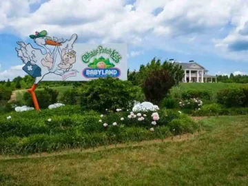 Microsoft & Google Help Rural Hospitals In Cybersecurity Effort Microsoft & Google Help Rural Hospitals In Cybersecurity Effort