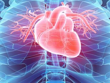 Researchers demonstrate value of AI in predicting heart disease