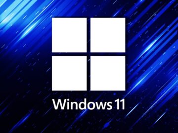 Windows 11