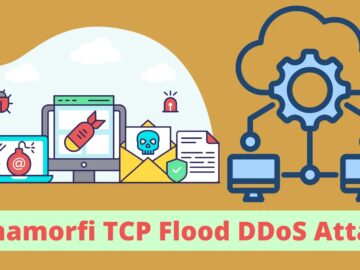 Panamorfi TCP flood DDoS Attack Targeting Jupyter Notebooks