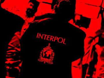 Over 1,000 arrested in massive ‘Serengeti’ anti-cybercrime operation