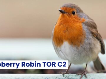 Raspberry Robin Employs TOR Network For C2 Servers Communication