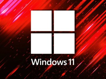 Windows 11