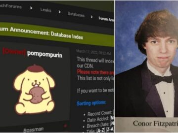 BreachForums Admin Conor Fitzpatrick (Pompompurin) to Be Resentenced