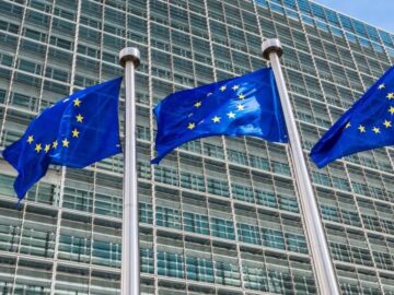 EU law could usher in transformative change to digital ecosystems