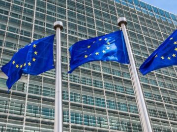 EU law could usher in transformative change to digital ecosystems