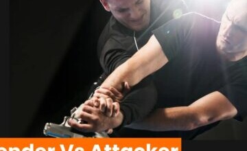 The Defender vs. The Attacker Game