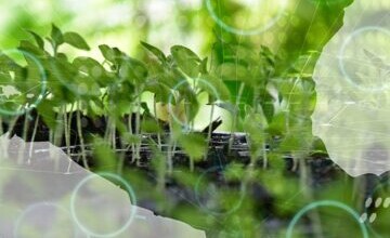 Will Europe be the first region to enact regulation for green software?
