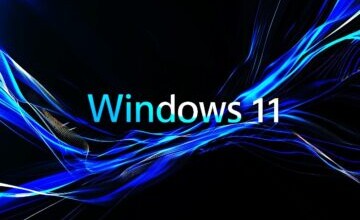 Windows 11